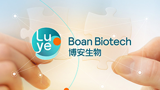 Silhouettes of people helping each other on a mountain at sunrise